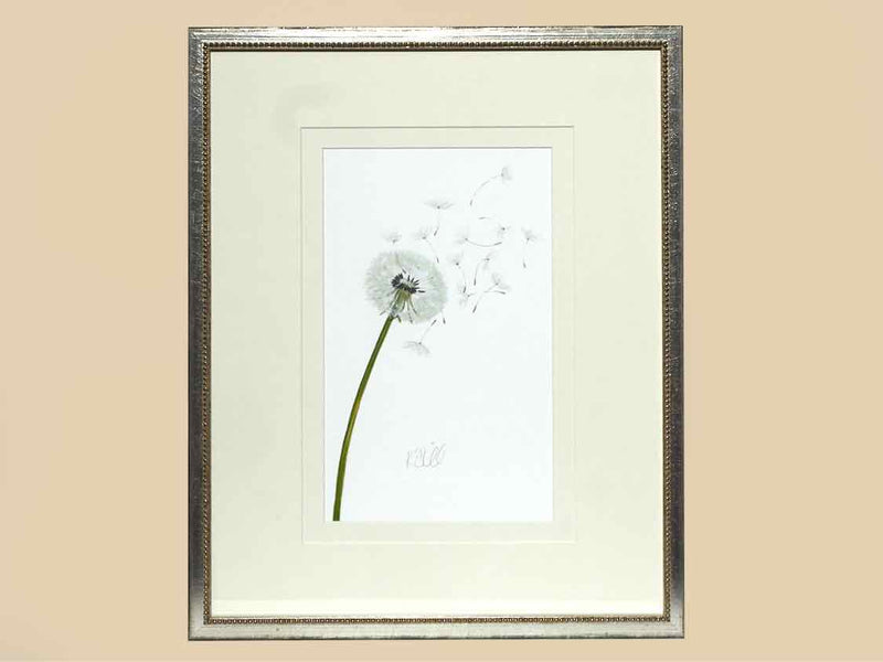 'Dandelions 1' in Silver Frame