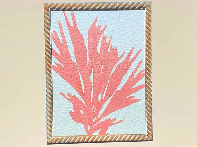 Coral Print On Rice Paper In Wooden Frame