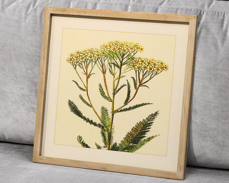 Framed Yellow Flower Print I Under Glass