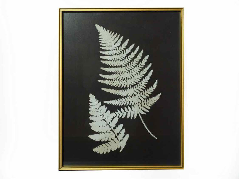 Black & White Fern Print Under Glass