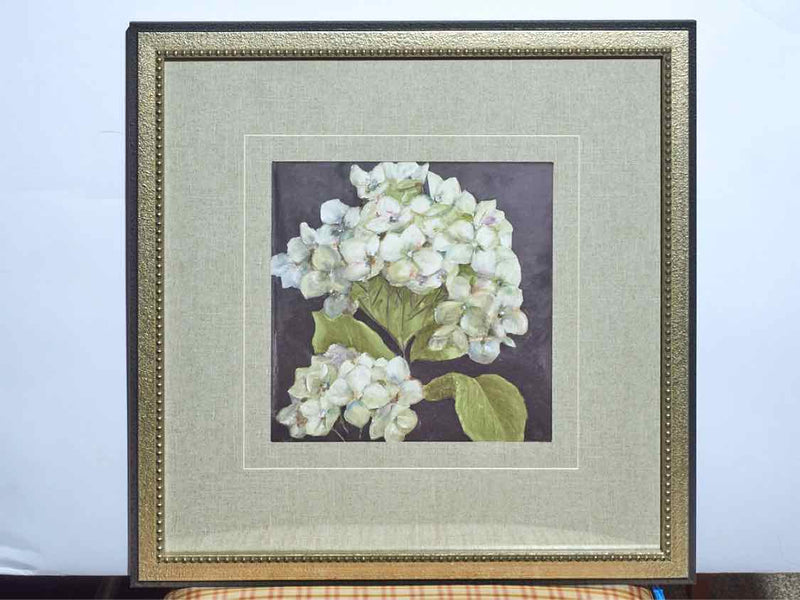 Framed Print; Hydrangeas On Black; 1/2