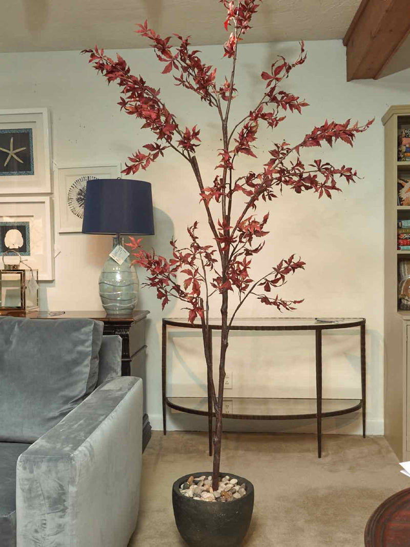 Crate & Barrel Potted Red Maple Tree