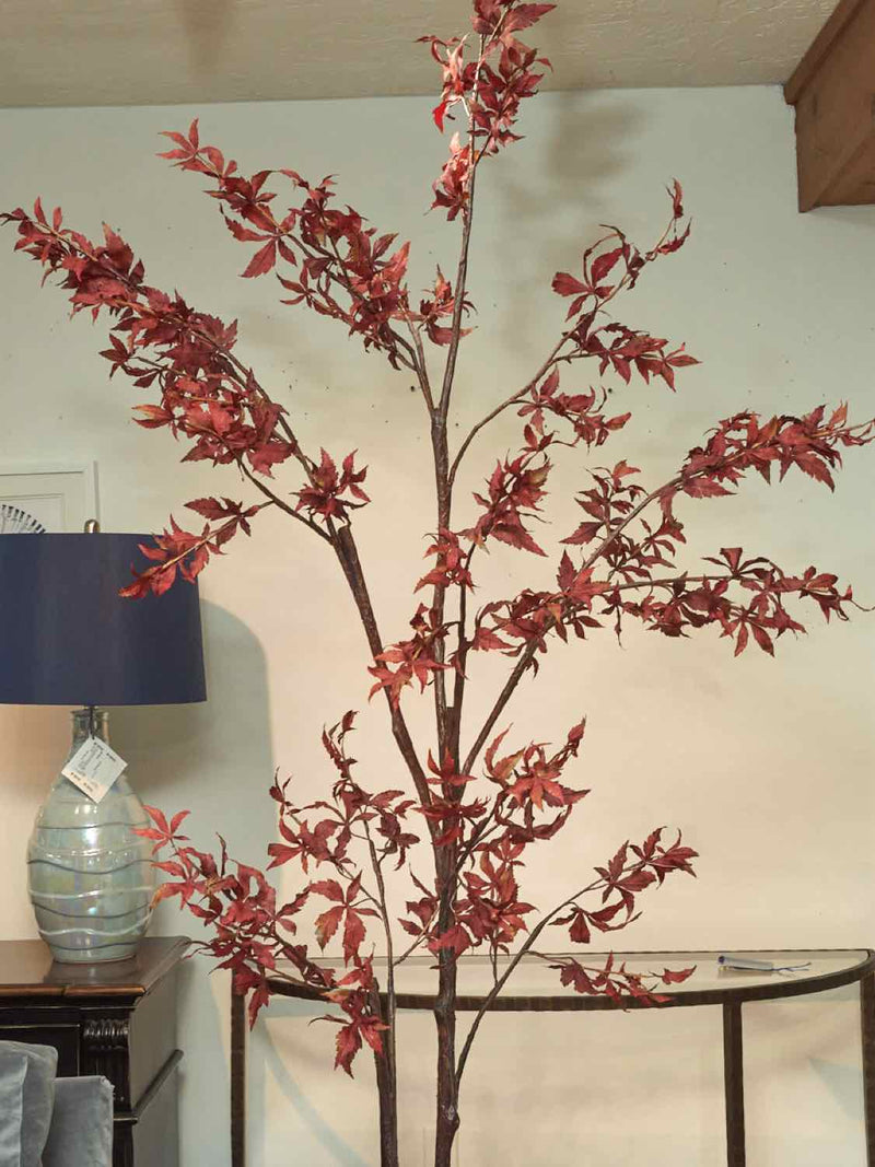 Crate & Barrel Potted Red Maple Tree