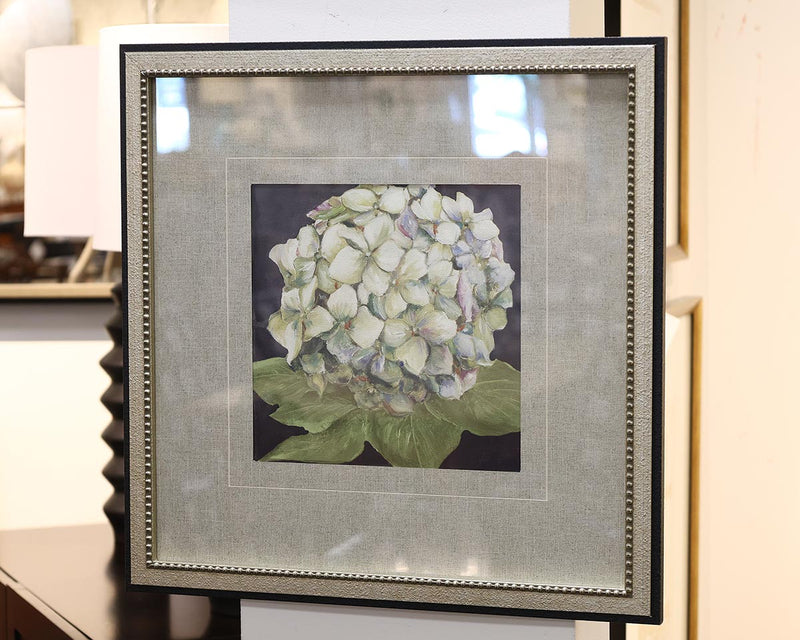 Hydrangeas on Black 2