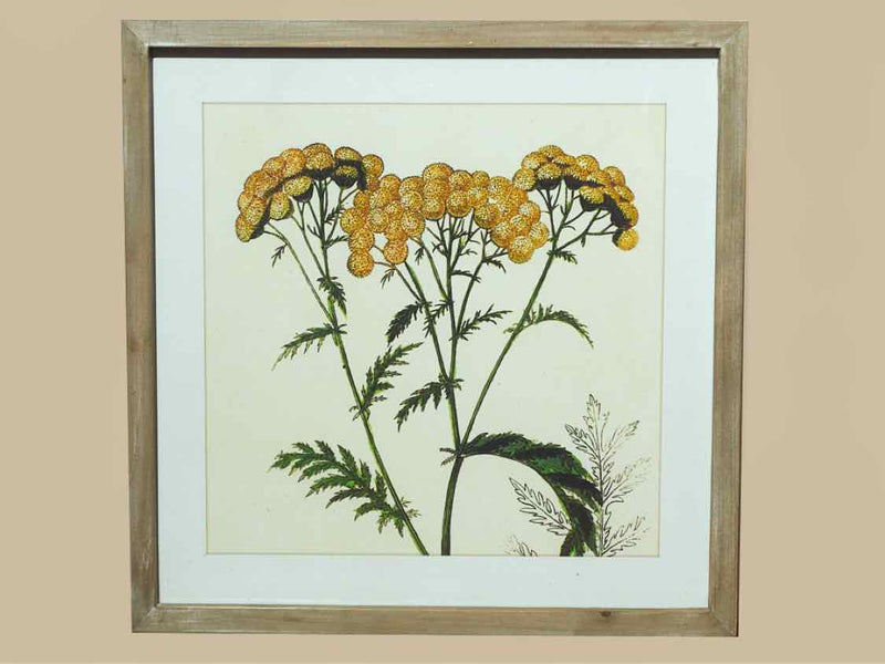 White Washed Framed Flower Print Under Glass