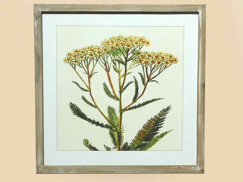 White Washed Framed Flower Print Under Glass