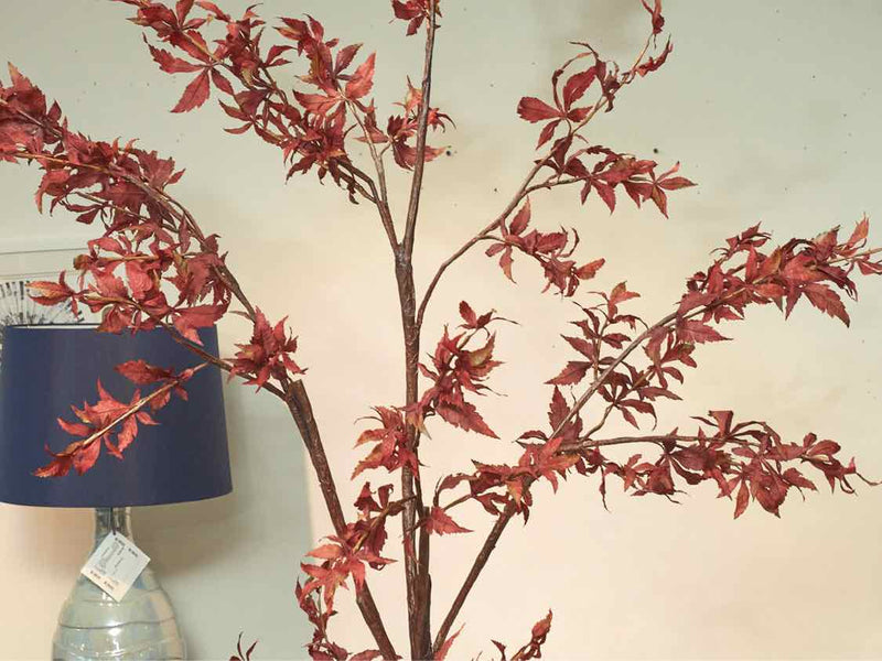 Crate & Barrel Potted Red Maple Tree