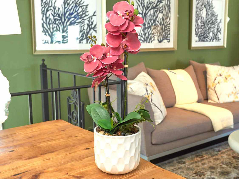 Boca Crimson Orchid In Textured Pot Decor