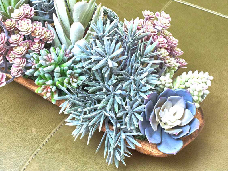 Wooden Dough Bowl Faux Succulent Assortment