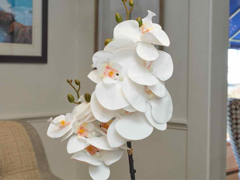 Boca White Orchid In Textured Pot Decor