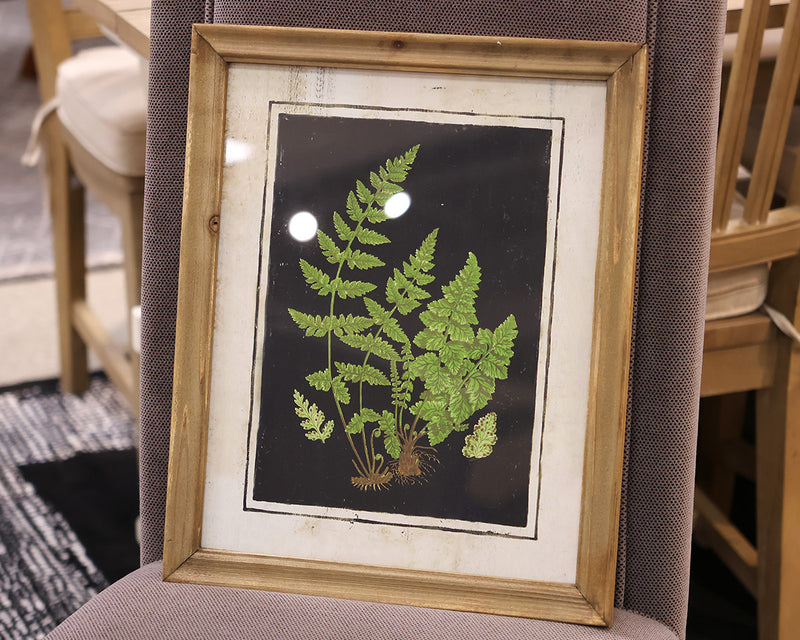 Matted Fern IV Print in Wood Frame