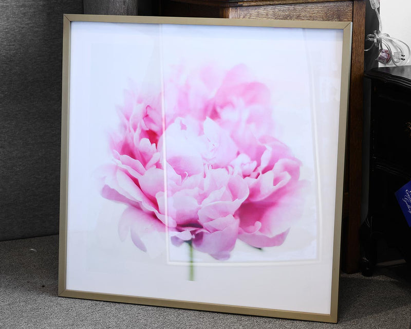 Pink Floral Print in Gold Frame