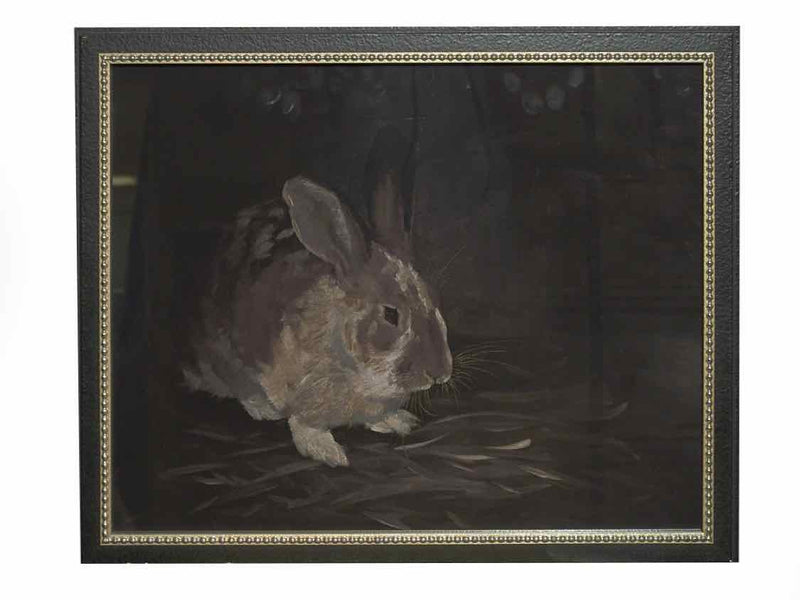 Framed Print; Resting Bunny; 2/4