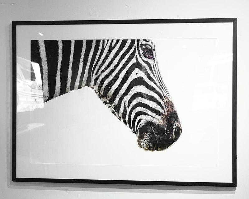 Framed Zebra Print