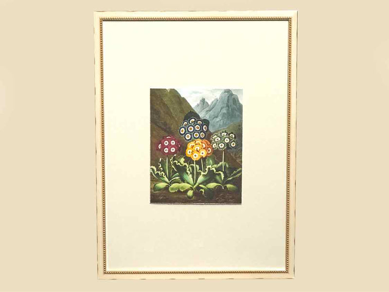 Framed Giclee: "Temple of Flora X"