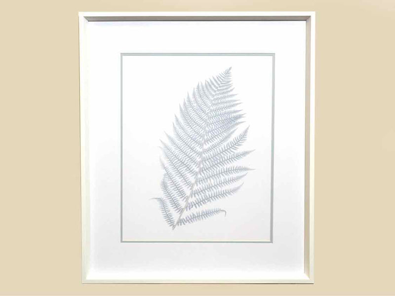 Framed Giclee: "Stillwater Ferns I"