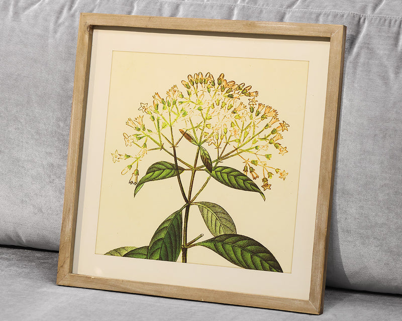 Framed Yellow Flower Print III Under Glass