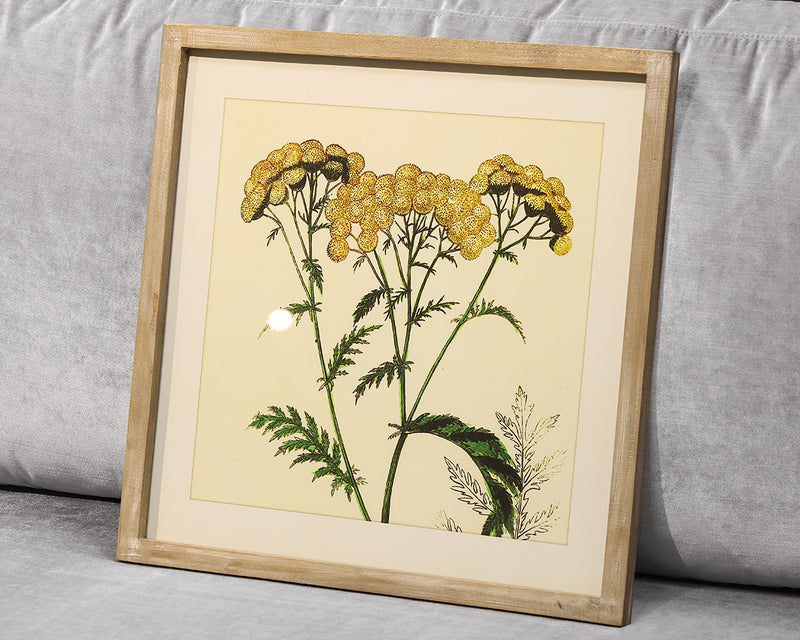 Framed Yellow Flower Print IV Under Glass