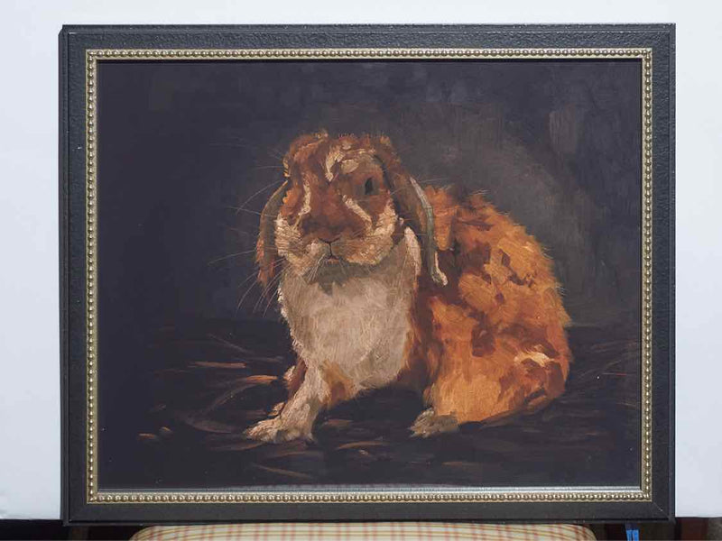 Framed Print; Resting Bunny; 4/4