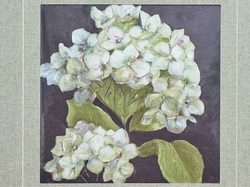 Framed Print; Hydrangeas On Black; 1/2