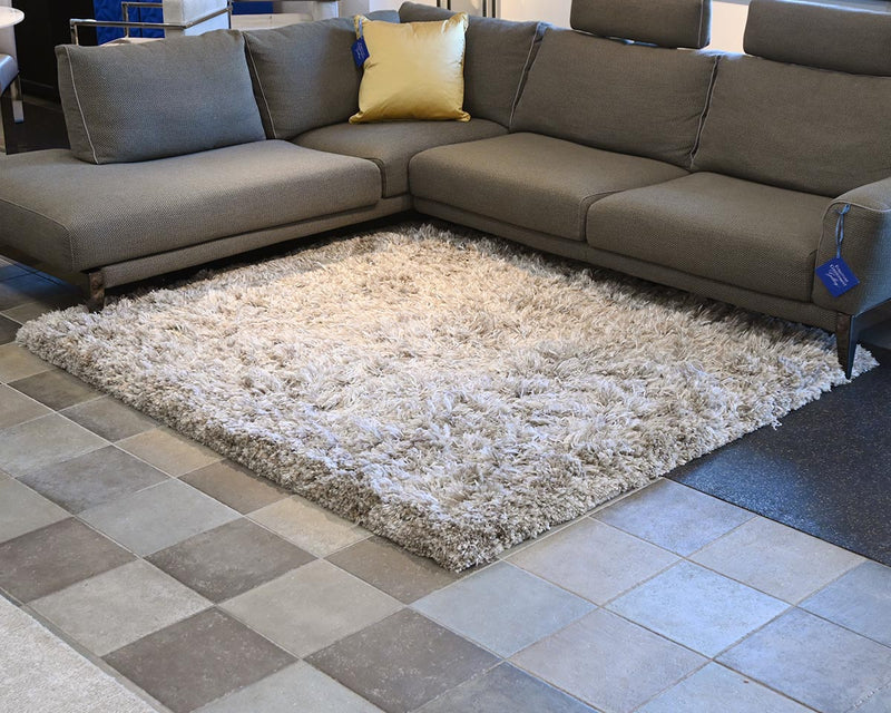 Shag Rug in Gray and Taupe