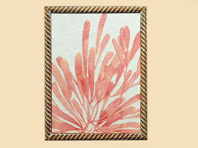 Coral Print On Rice Paper In Wooden Frame