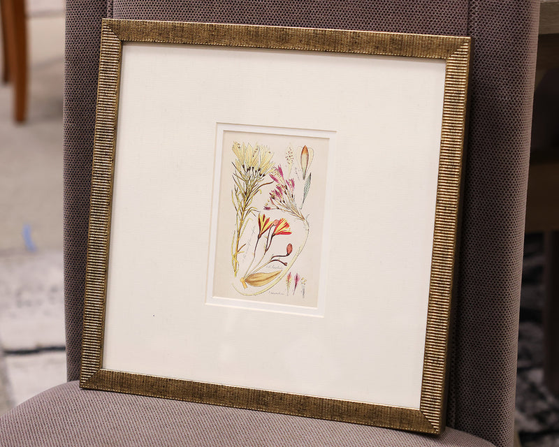 "Antique Botanical II B" Matted Print in Antique Gold Frame