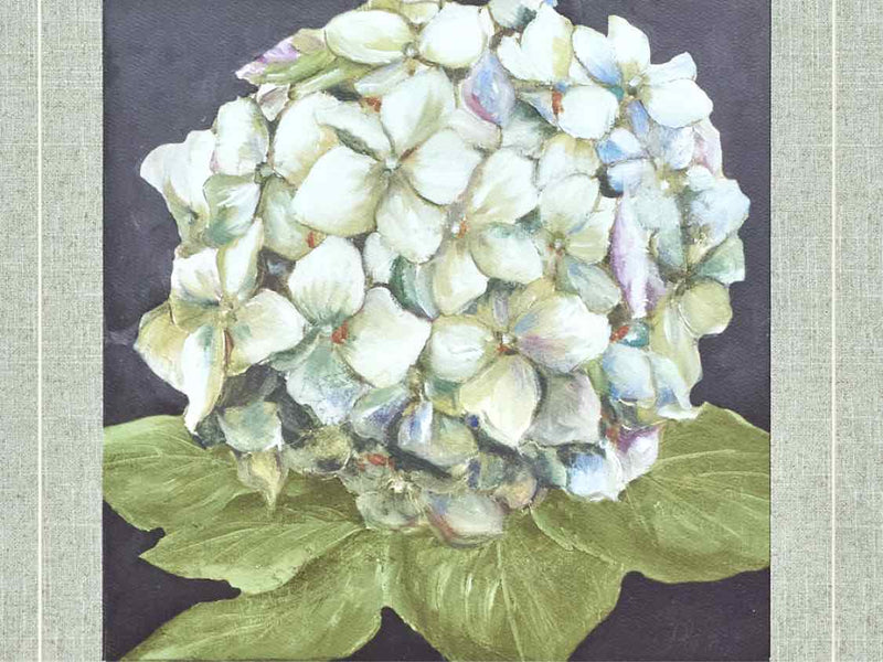 Framed Print; Hydrangeas On Black; 2/2