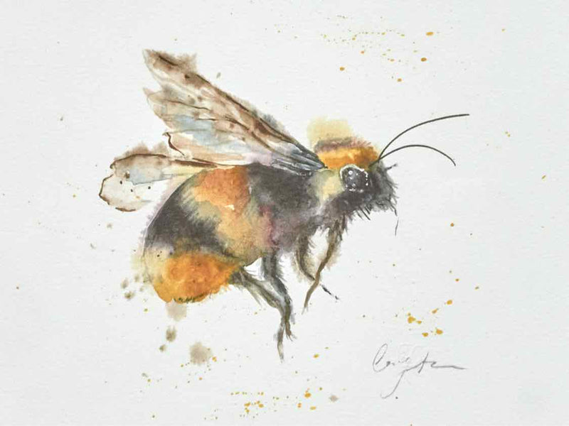 'Bee 1' in Gold Frame