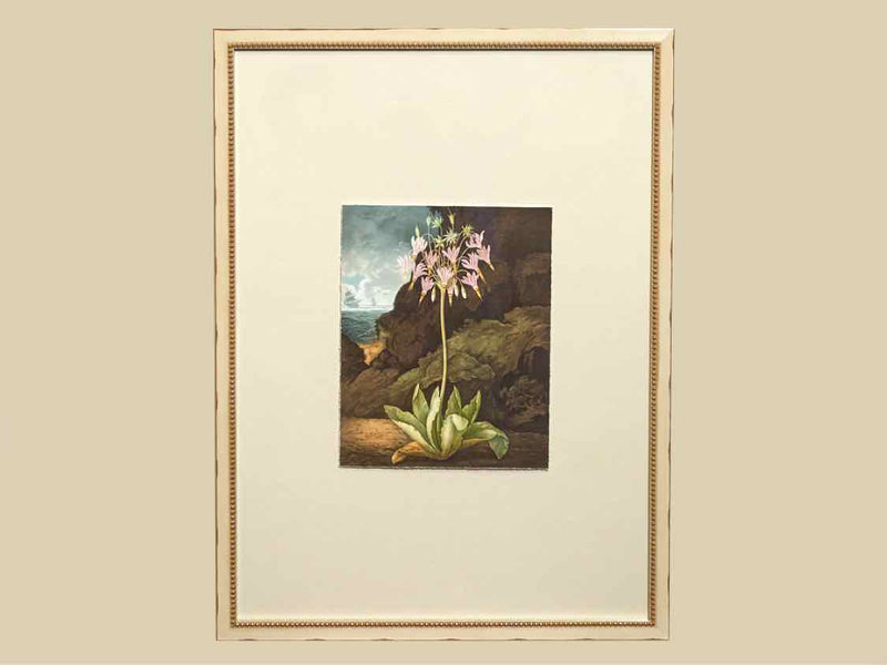 Framed Giclee: "Temple of Flora VII"