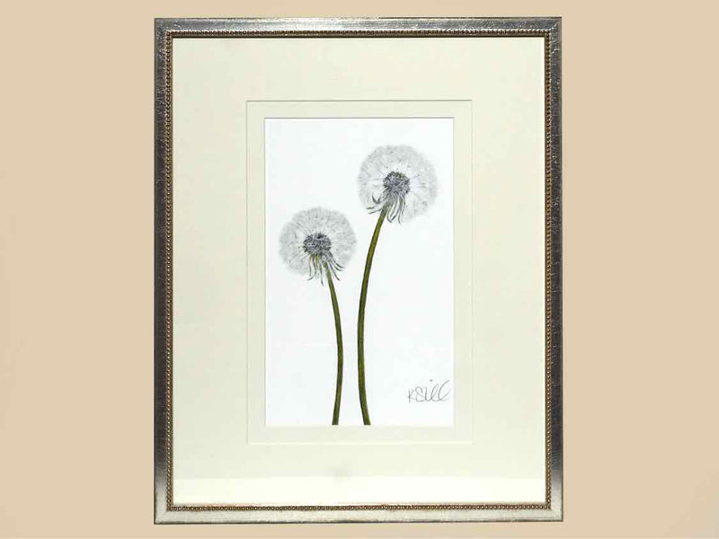 'Dandelions 2' in Silver Frame