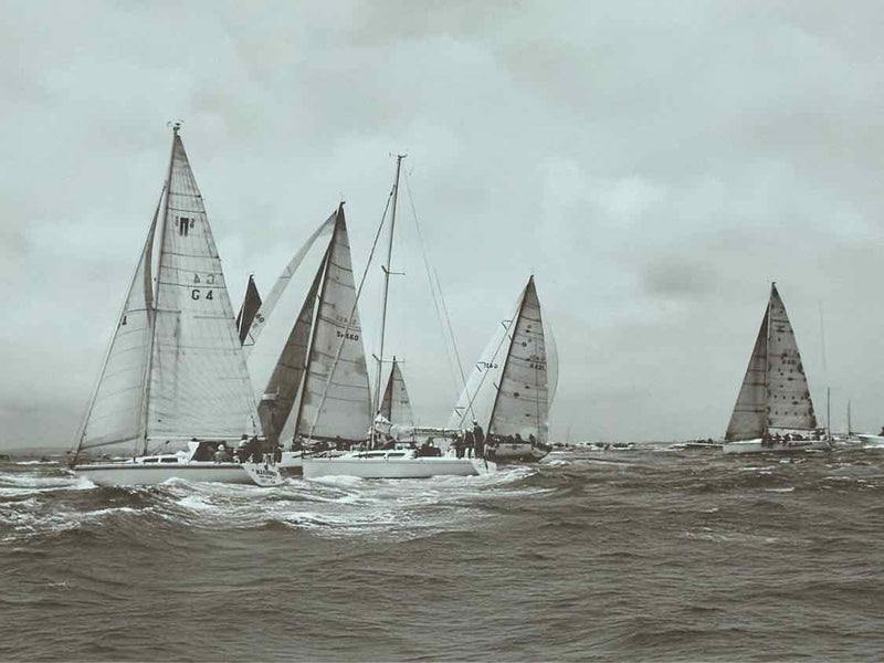 'Regatta II'