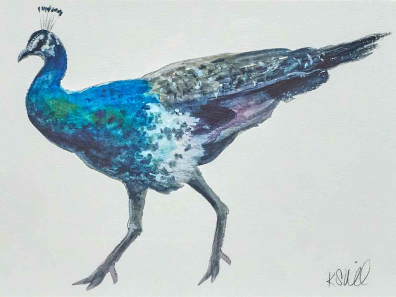 'Peacock 2' Giclee