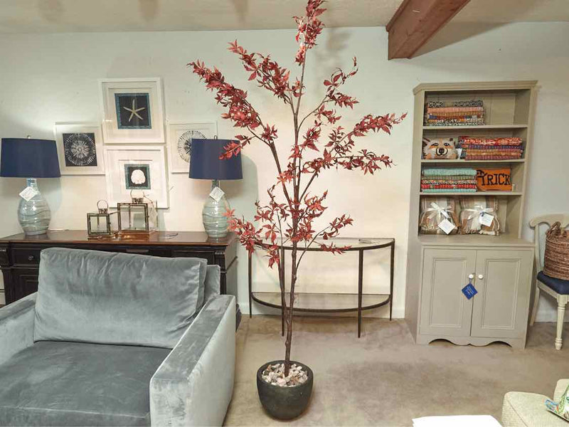 Crate & Barrel Potted Red Maple Tree