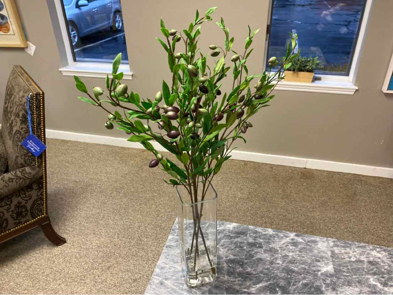 Olive Branch in Tall Glass Vase