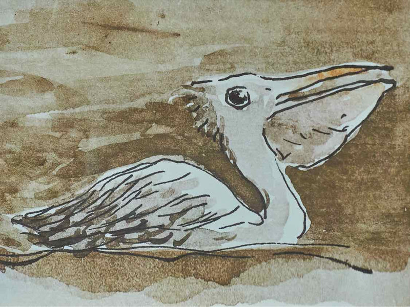 Pelican Print Under Glass