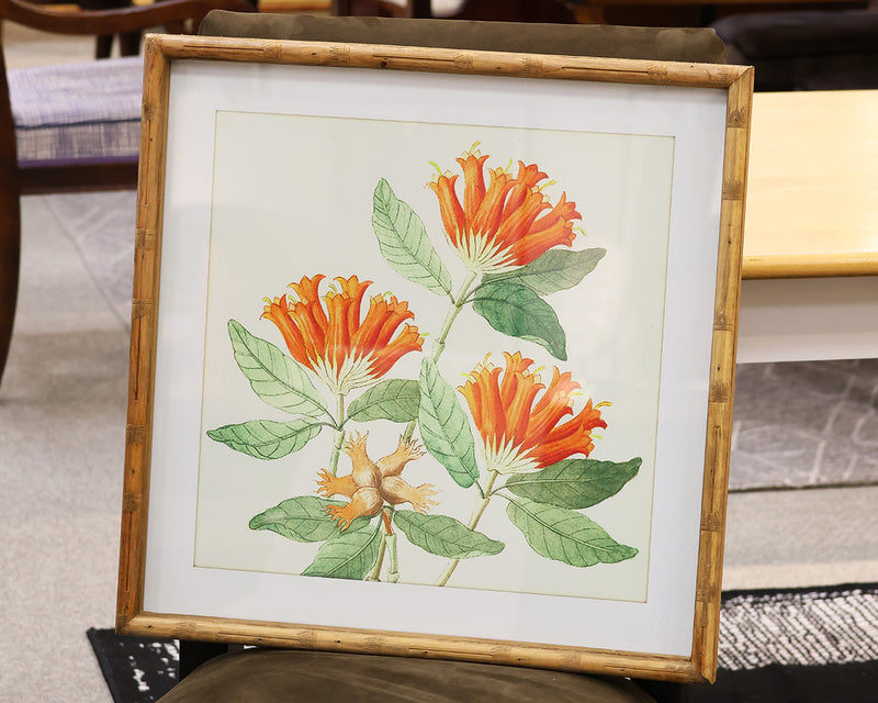 Flower Print I Under Glass in Rustic Bamboo Frame