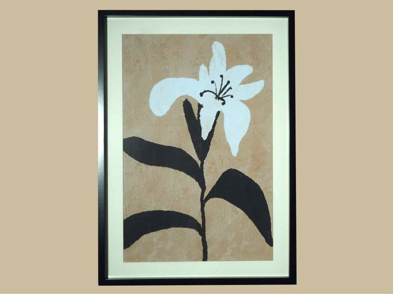 Pair of Flower  Prints In Black Frame Under Glass