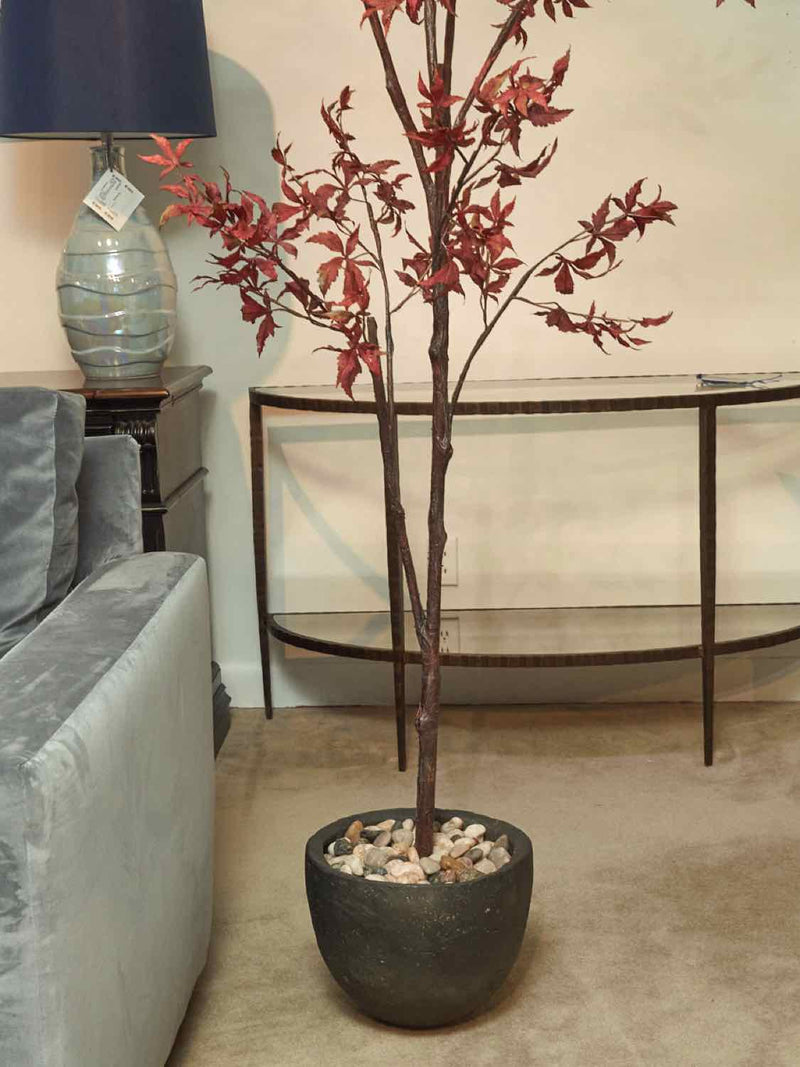 Crate & Barrel Potted Red Maple Tree