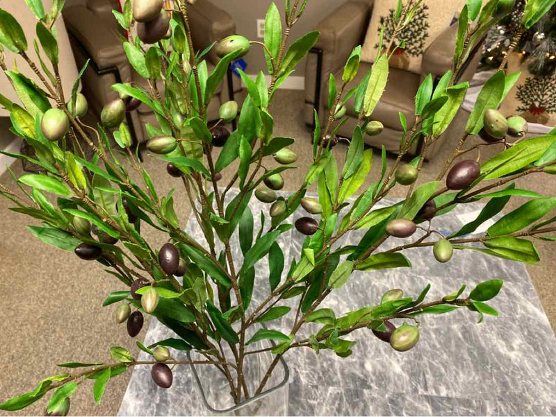 Olive Branch in Tall Glass Vase