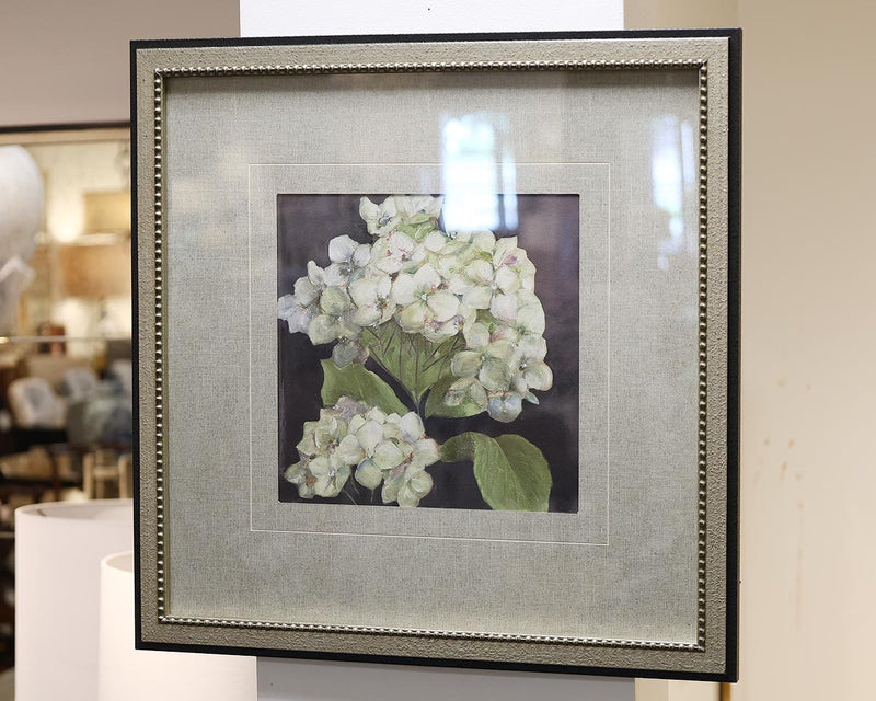 Hydrangeas on Black