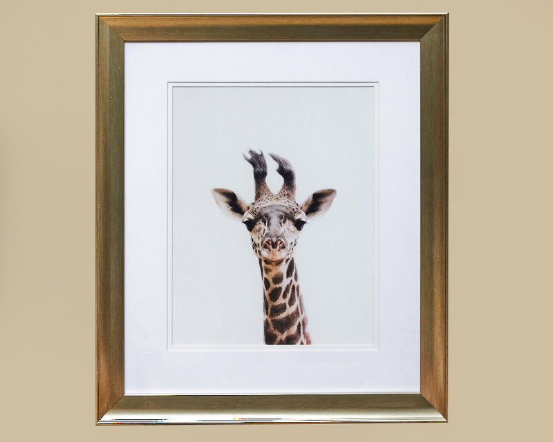 Baby Giraffe Framed Art