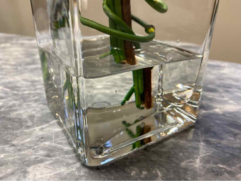 Cherry Blossum Branch & Snake Reeds in Tall Glass Vase