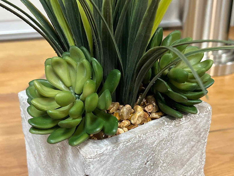 Grass & Succulents in Concrete Cube with Pebbles