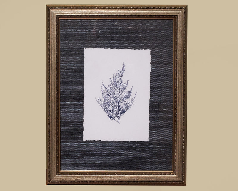 Framed Art Blue Coral IV 4088