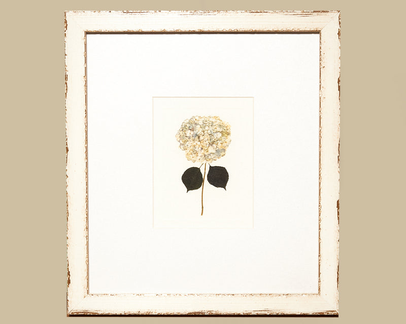 Framed Art Hydrangea IV 13338