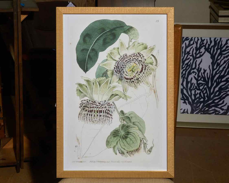 Antique Passion Flower II