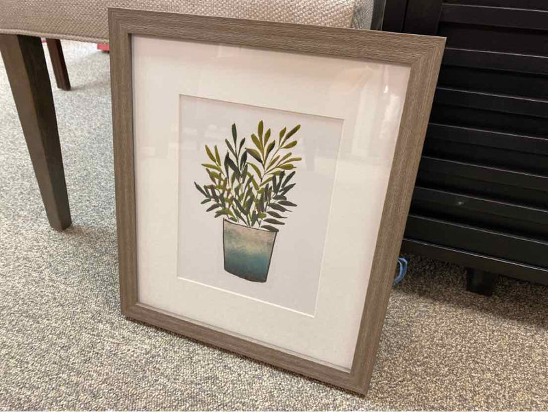 Framed Print:  "Houseplants III"