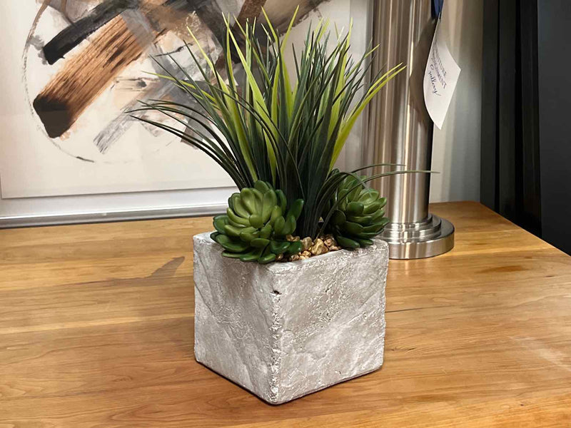 Grass & Succulents in Concrete Cube with Pebbles