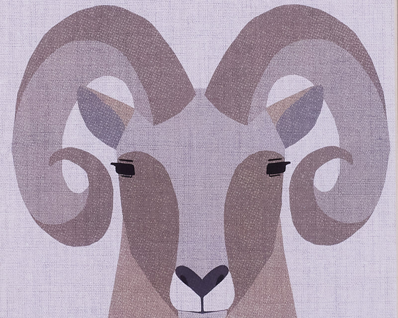 Bighorn Sheep Framed Art